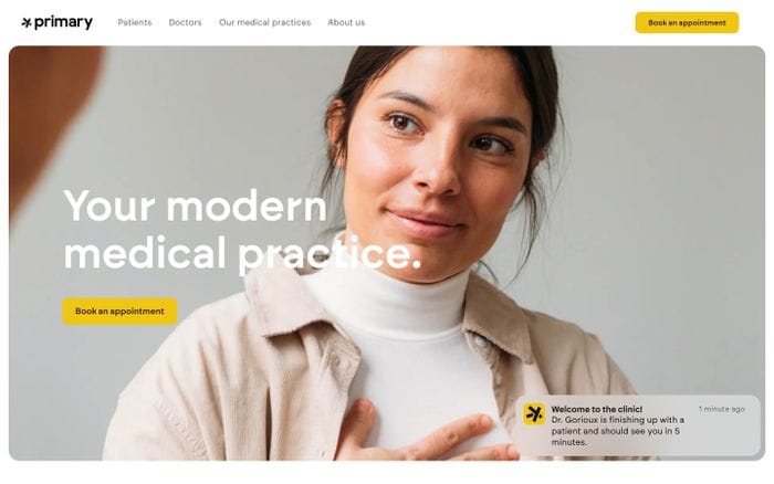 Primary website preview