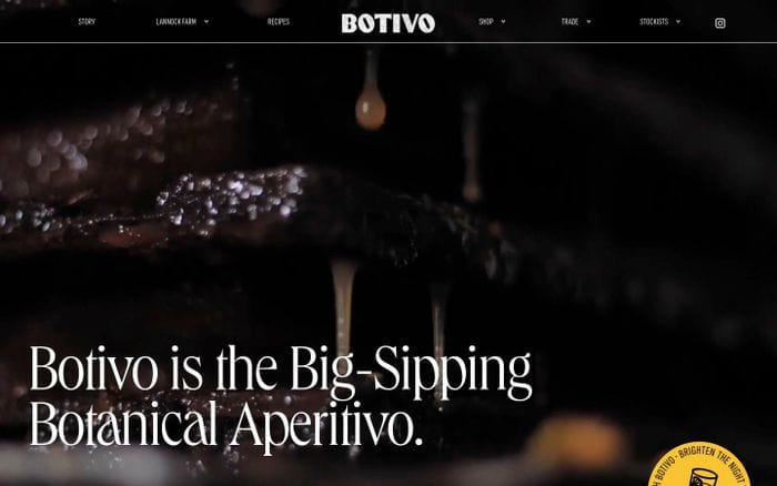Botivo Drinks website preview