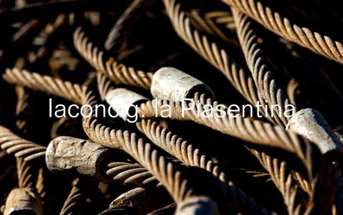 Iaconcig website preview