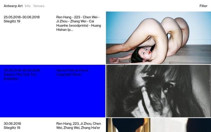 Antwerpart website preview