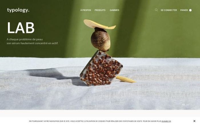 Typology website preview