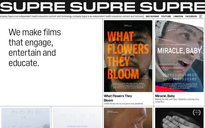 Supre website preview