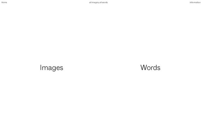  website preview