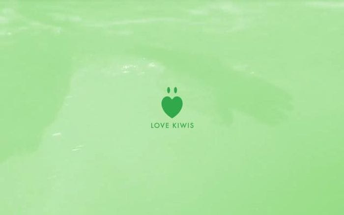 Lovekiwis website preview