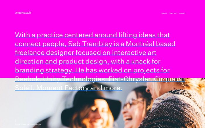 NewBambi website preview