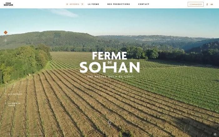 Fermedesohan website preview