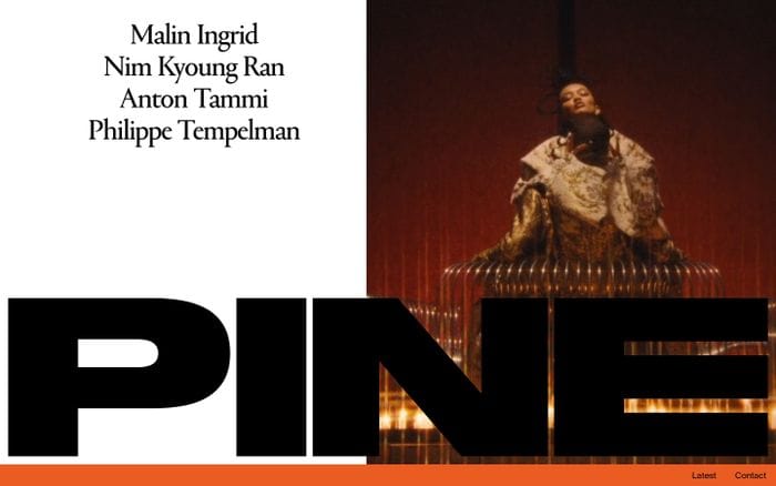Pine website preview