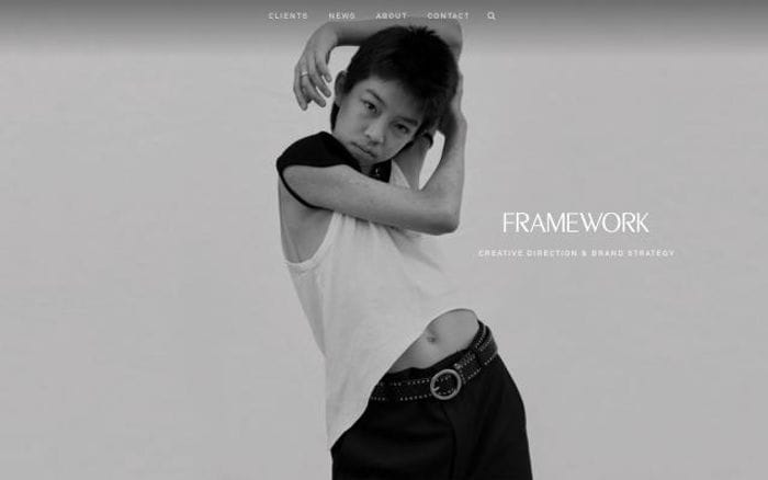 Framenoir website preview