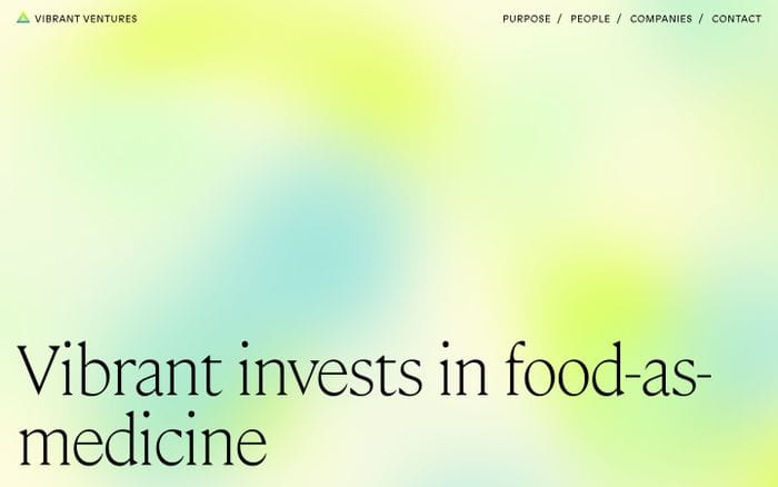 Vibrant ventures website preview