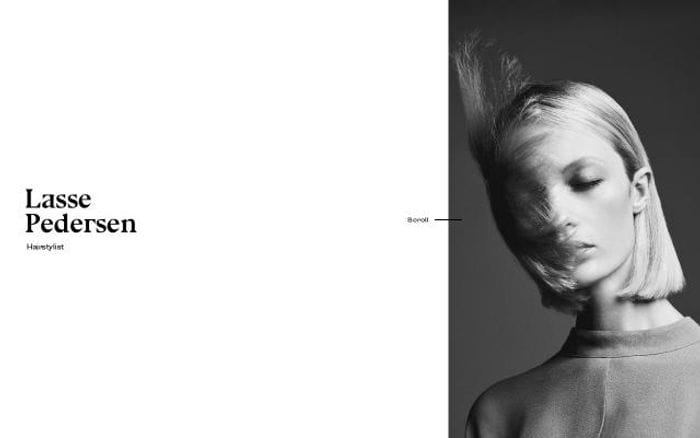 Lassepedersen website preview