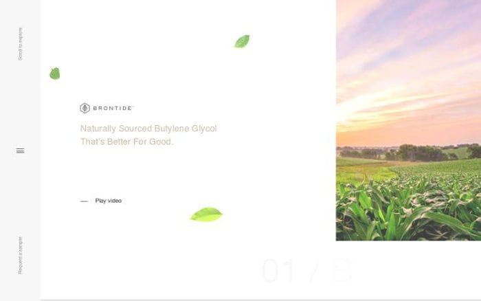 Brontidebg website preview