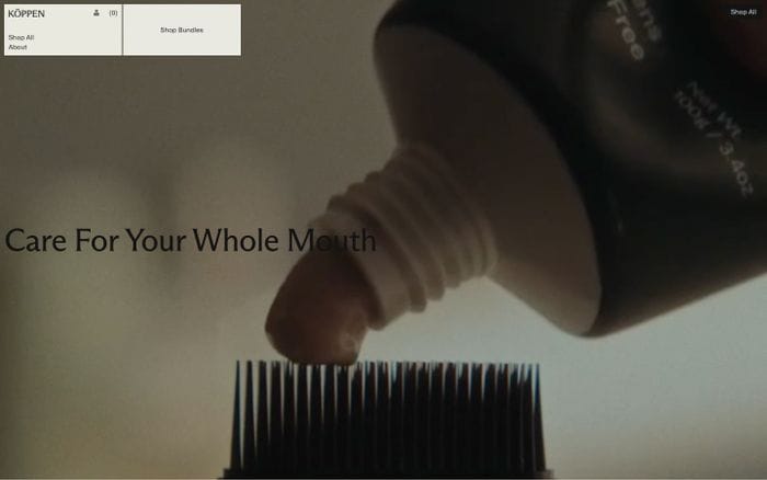 Koppen website preview