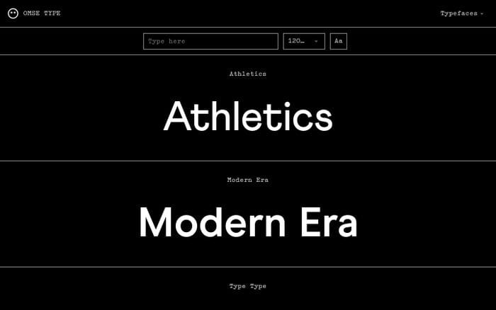 OMSE TYPE website preview