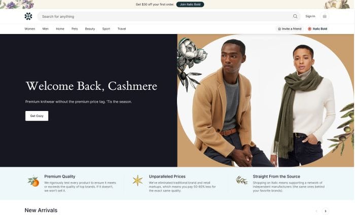 Italic website preview