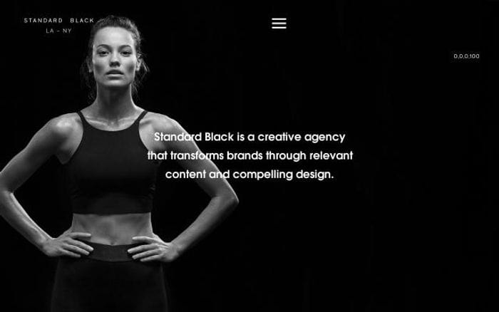 Standardblack website preview