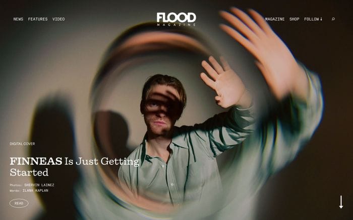 Flood website preview