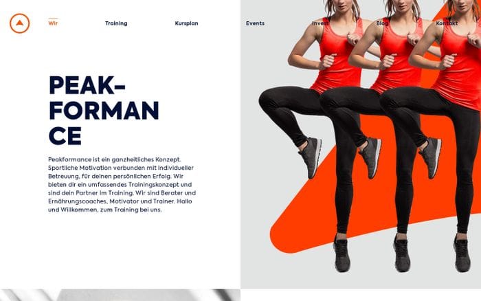 Wir website preview