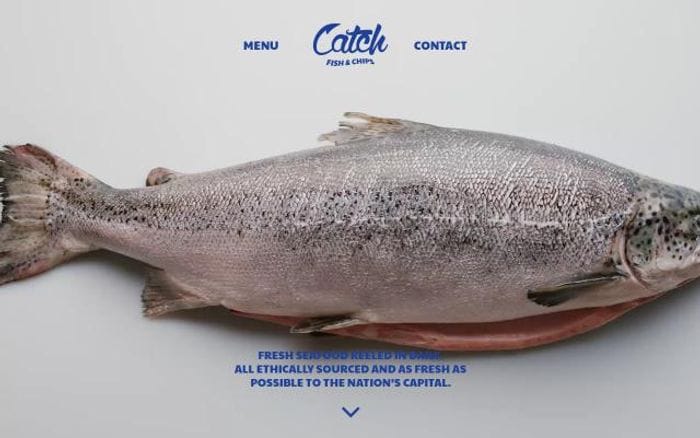 Catchfishandchips website preview