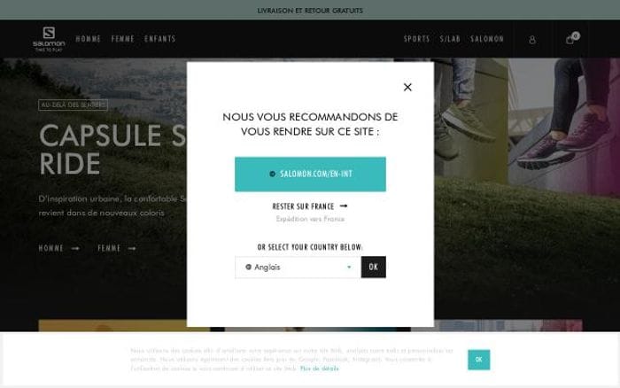 Salomon website preview