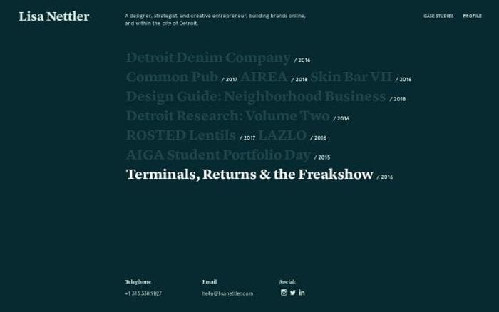 Lisanettler website preview
