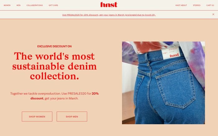 Hnst website preview