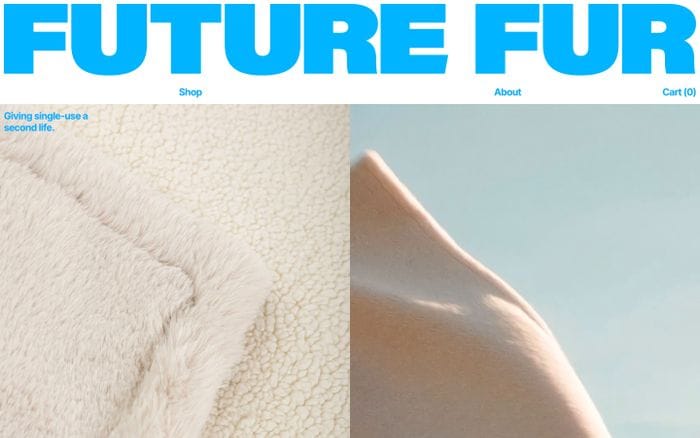 Future Fur website preview