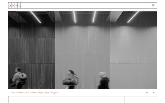 Zeso website preview