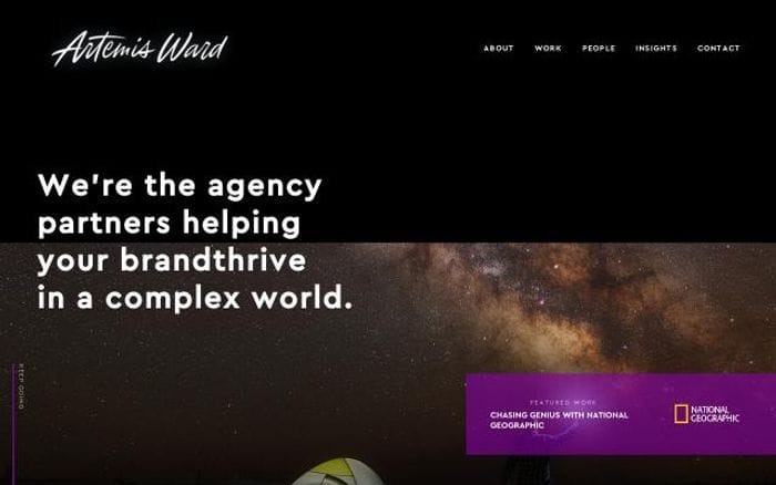 Artemisward website preview