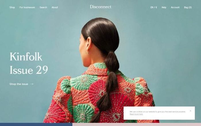 Disconnect website preview
