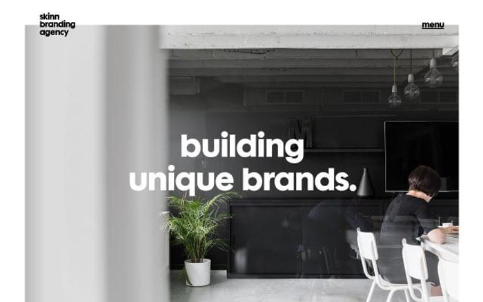Skinn website preview