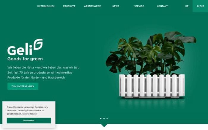 Geli website preview