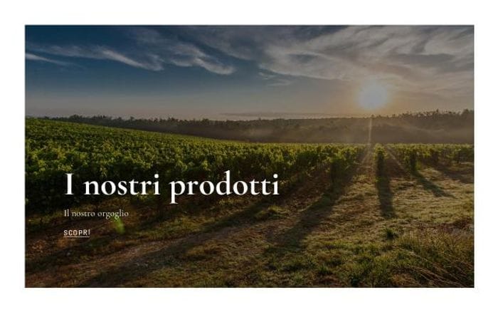Agostinetto-wine website preview