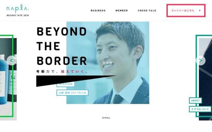 Napla website preview