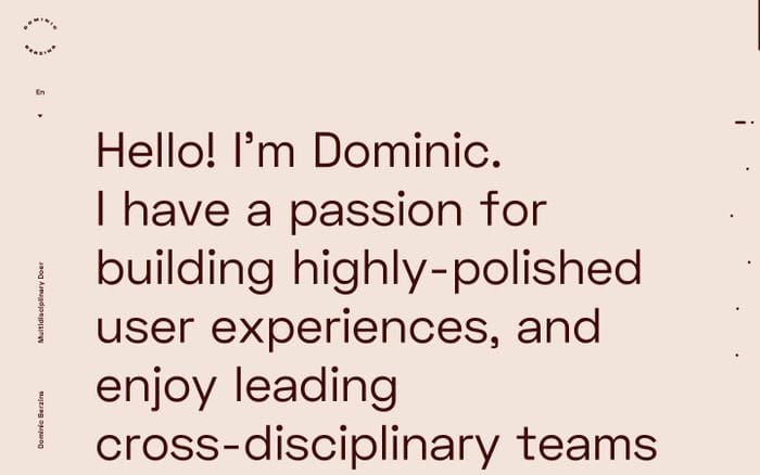 Dominic Berzins website preview