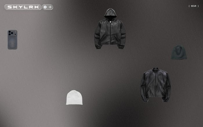 Skylrk website preview