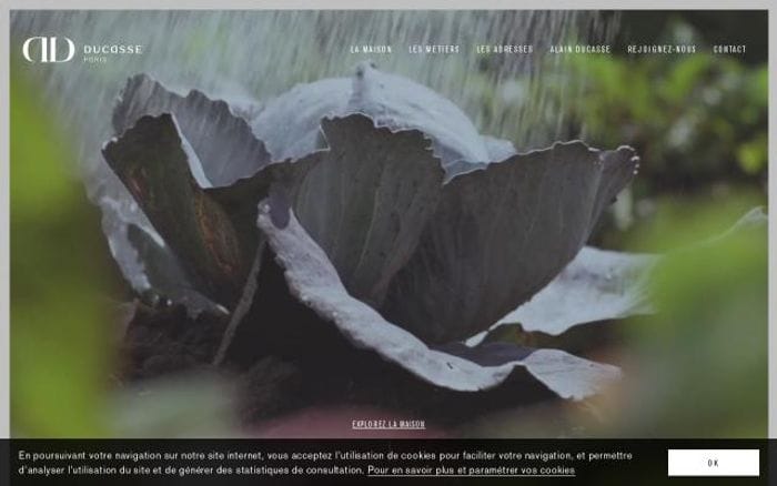 Ducasse-paris website preview