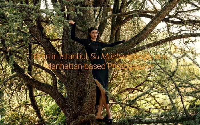 Su Mustecaplioglu website preview