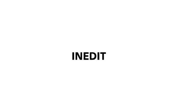 Inedit website preview