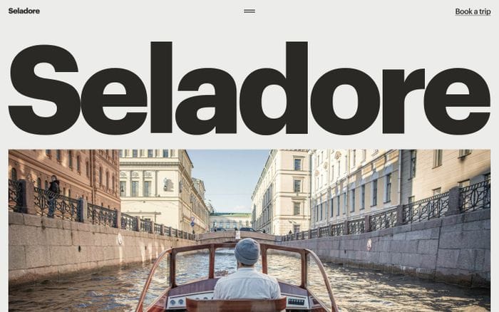 Seladore website preview