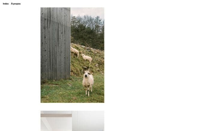 Tonale website preview