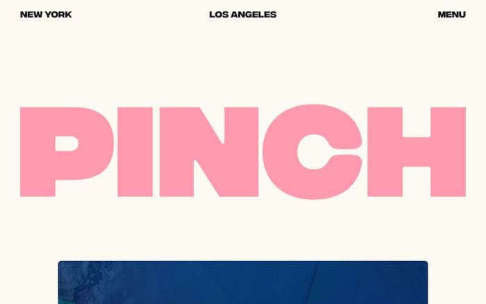 Pinch website preview