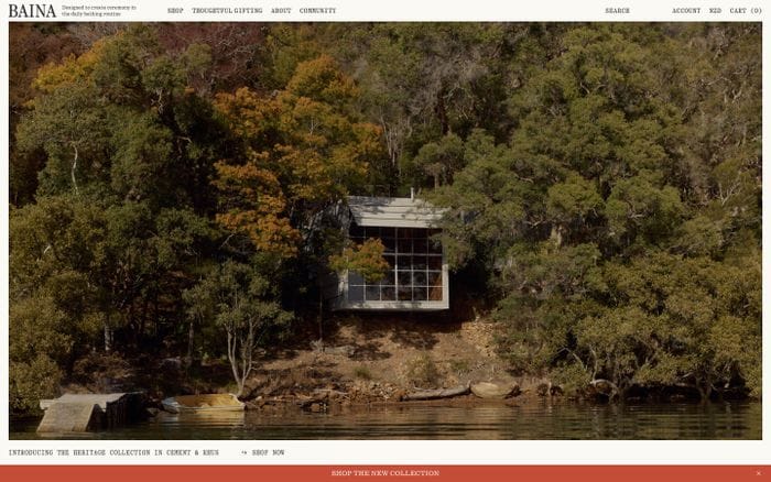 Baina website preview