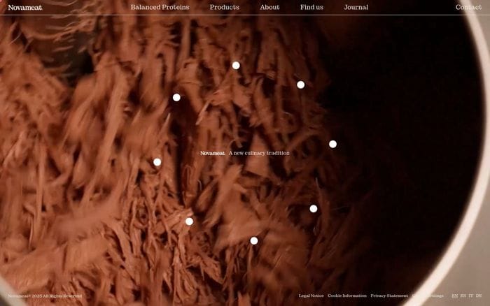 Novameat website preview