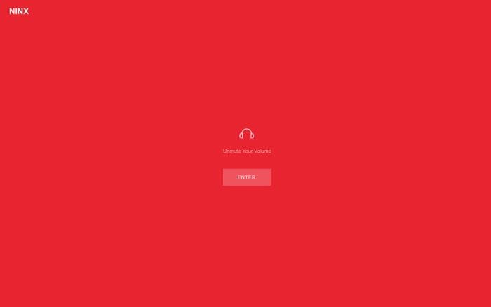 NINX website preview