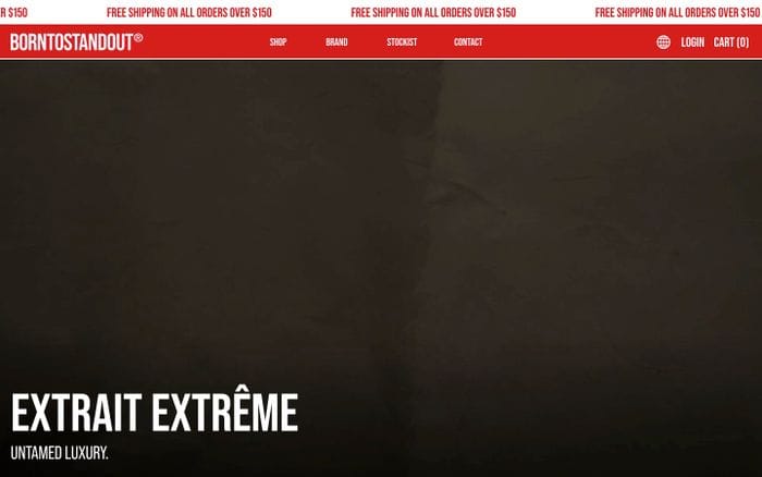 Borntostandout website preview