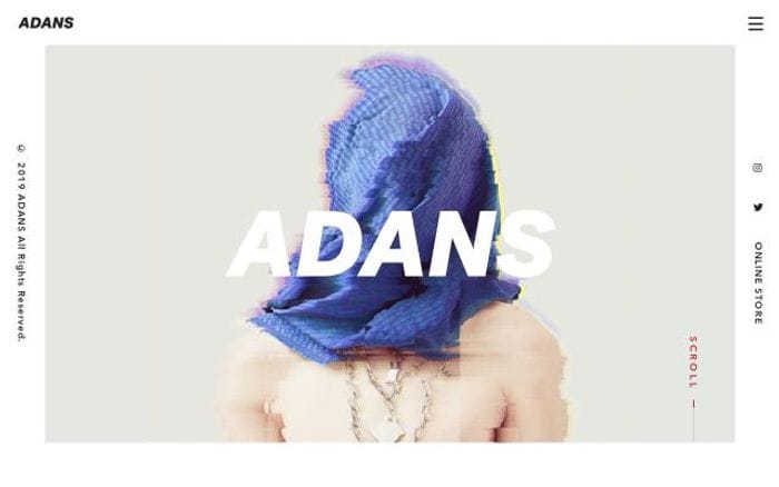 Adans website preview