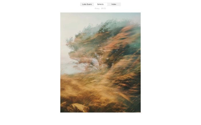 Luke Evans website preview