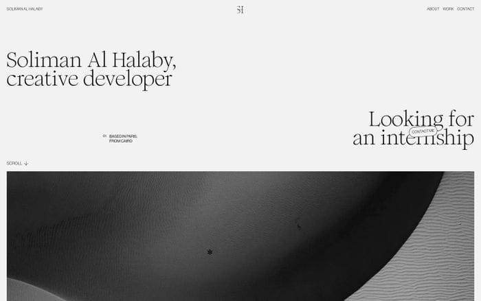 Soliman Al Halaby website preview