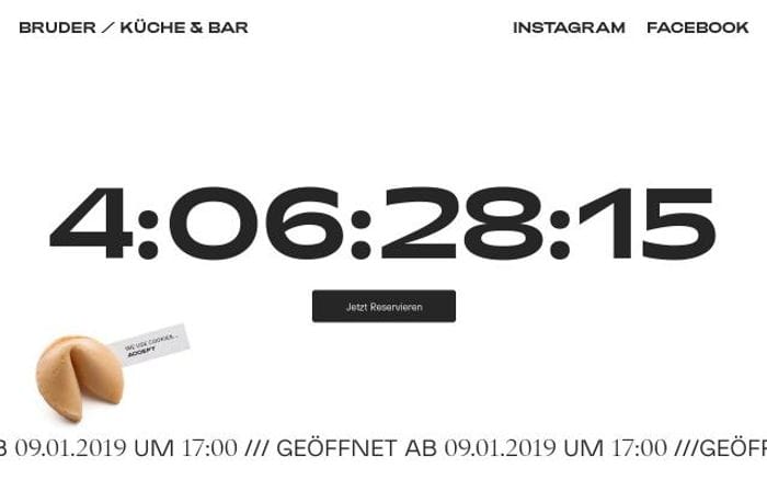 Bruder website preview