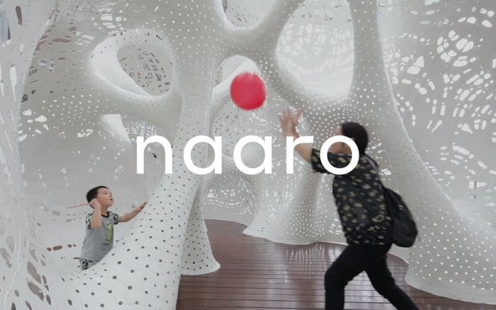 naaro website preview
